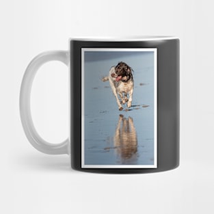 English Springer spaniel Mug